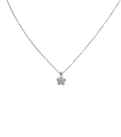 Collana IGold Donna in Oro bianco Zircone CL49501051350 - CL49501051350